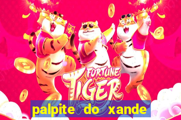 palpite do xande de hoje